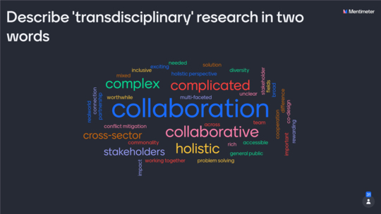 At the start of the workshop, participants were asked to submit two words they associate with transdisciplinary working (Image: Sentinel)