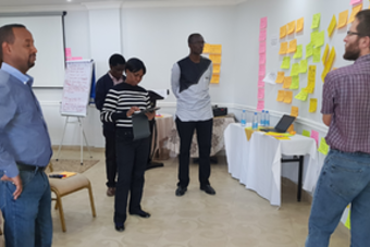 Refining research questions and setting out workplans