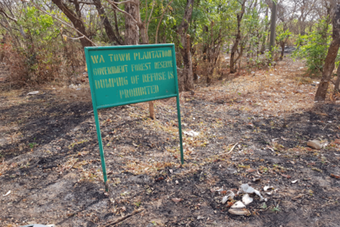 Threatened forest reserve in Wa. Photo: Sentinel project