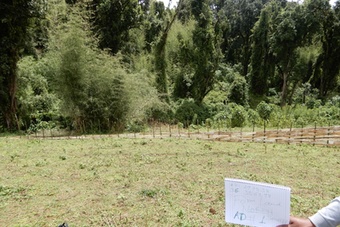 Expansion frontier in Kaja Boka community Adiyo Woreda, Ethiopia 