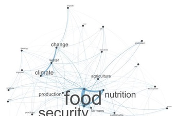 A word map, showing major words connected with the Sentinel Project