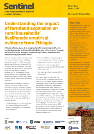 Understanding the impact of farmland expansion on rural households ...