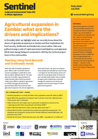 Agricultural expansion in Zambia: what are the drivers and implications?