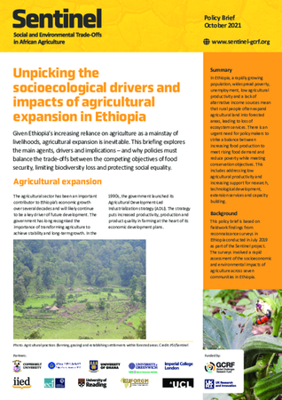 Unpicking the socioecological drivers and impacts of agricultural expansion in Ethiopia