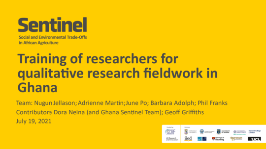 Sentinel team members deliver online training to consultants in Ghana.