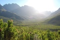 Stellenbosch, South Africa. Photo Adam Devenish, ICL