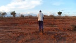 by Loisa Kitakaya/Wikimedia Commons Man spots some sheep in the distance